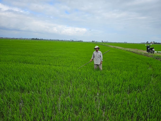 Nông dân Nguyễn Dựng cho biết, nguồn nước đảm bảo cho cây lúa sinh trưởng và phát triển tốt. Ảnh: KS.