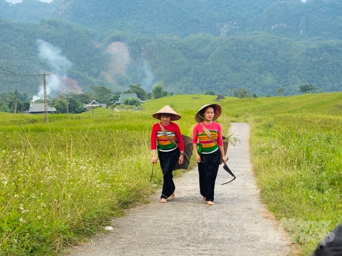 Pù Luông được ví như 'Đà Lạt thu nhỏ' tại Thanh Hóa. Ảnh: Quốc Toản.