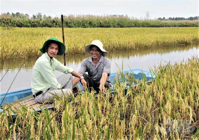 Nụ cười mãn nguyện của nông dân sản xuất theo mô hình tôm - lúa khi có một năm thắng lợi kép, nhất là giá lúa cao kỷ lục, mang lại thu nhập cao. Ảnh: Trung Chánh.