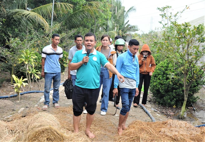 PGS.TS Lê Vĩnh Thúc (Khoa Khoa học cây trồng, Trường Đại học Cần Thơ) đang hướng dẫn các học viên thực hành về kỹ thuật ủ rơm - một trong những công đoạn quan trọng để sản xuất nấm rơm. Ảnh: Trung Chánh.