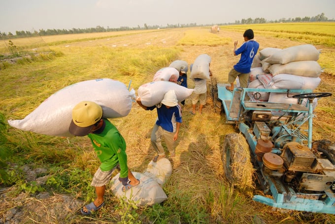 Tận dụng tối đa nguồn phế, phụ phẩm giúp ngành nông nghiệp trở nên xanh hơn.