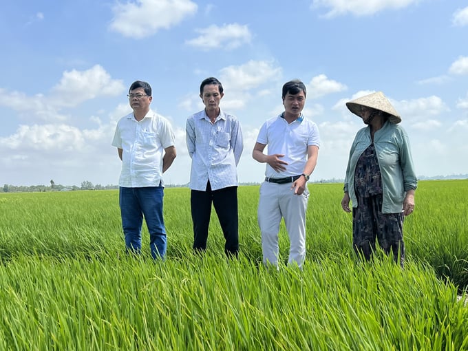 Người dân dần thích ứng với việc ứng dụng khoa học công nghệ vào sản xuất nông nghiệp và mạnh dạn tham gia các chuỗi liên kết. Ảnh: Trọng Linh.