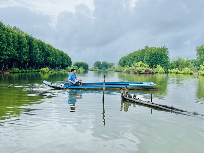 Mô hình tôm - rừng đạt chứng nhận ASC tại huyện Ngọc Hiển (Cà Mau). Ảnh: Trọng Linh.