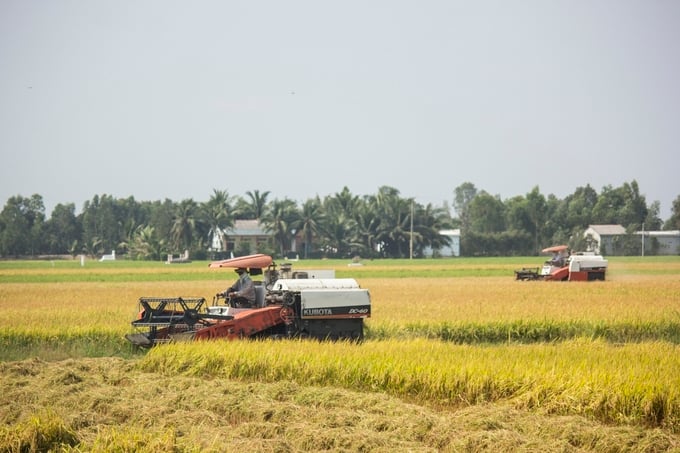 Canh tác lúa thông minh, giống chất lượng cao giúp các HTX và người trồng lúa tại tỉnh Long An ổn định sinh kế. Ảnh: Trần Trung.