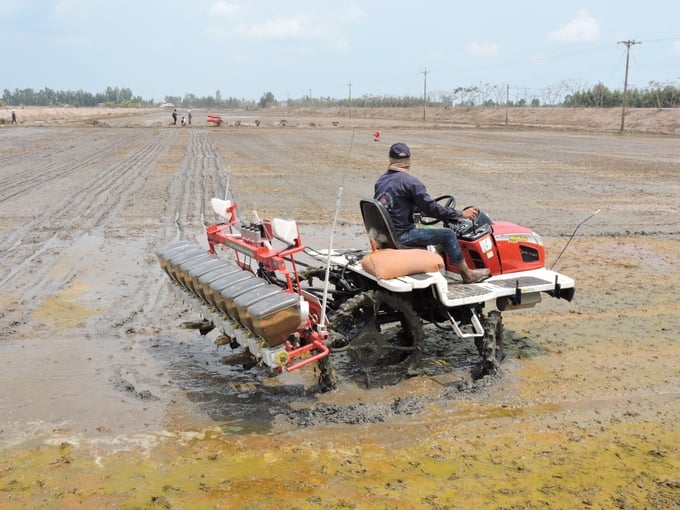 Người trồng lúa và các HTX chủ động xuống giống sớm sau khi Chính phủ phát động Đề án 1 triệu ha lúa chất lượng cao. Ảnh: Trần Trung.