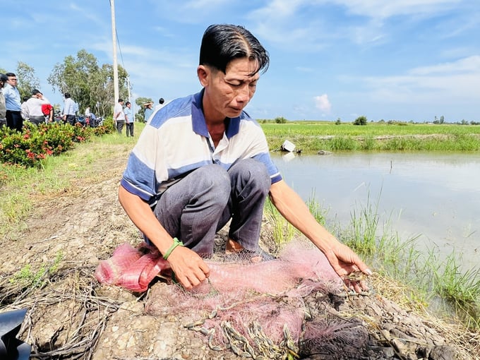 Nông dân nuôi tôm theo tiêu chuẩn ASC tại xã Trí Lực. Ảnh: Trọng Linh.