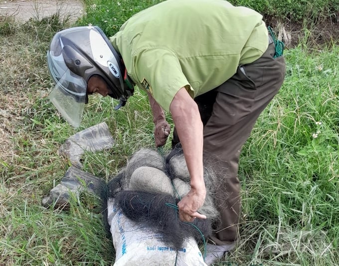 Thu giữ lưới bẫy chim.