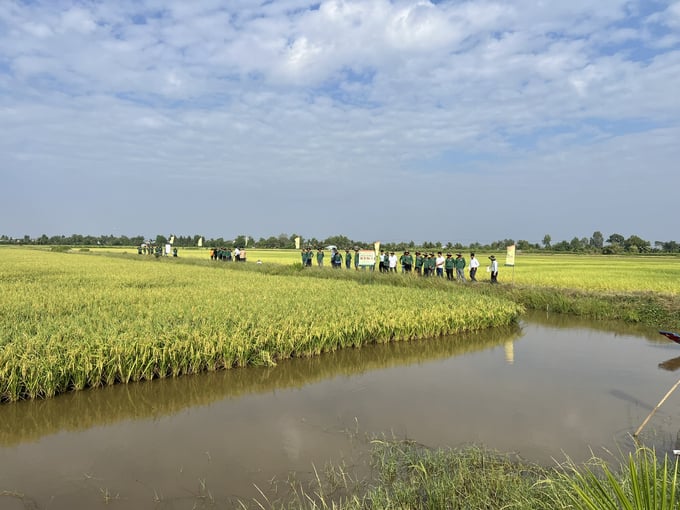 Công ty Cổ phần Giống Cây Trồng Miền Nam (SSC) tổ chức hội thảo tại xã Ninh Thạnh Lợi A, huyện Hồng Dân. Ảnh: Trọng Linh.