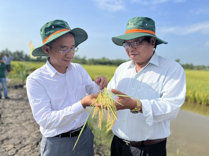 Ông Trần Văn Na (bên phải), Chi cục trưởng Chi cục Trồng trọt và BVTV Bạc Liêu và ông Nguyễn Quốc Phong - Phó Tổng Giám đốc Công ty Cổ phần Giống cây trồng Miền Nam. Ảnh: Trọng Linh. 