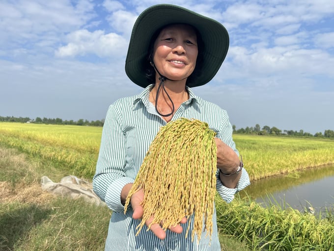 Bà Bạch Thị Vững, Phó Giám đốc Trung tâm nghiên cứu và Phát triển thuộc Công ty Cổ phần Tập đoàn Giống Cây Trồng Việt Nam (Vinaseed Group) tác giả của giống lúa lai F1 KCR06-1. Ảnh: Trọng Linh.