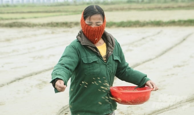 Theo Đài khí tượng thủy văn Hà Tĩnh cho biết, nhiệt độ trung bình tại Hà Tĩnh trong 2 ngày qua dao động từ 11 - 13 độ C kèm mưa phùn khiến trời rét căm căm.