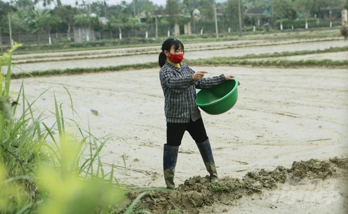 Để giữ ấm, chị Loan phải đeo ủng, trùm khăn và mặc nhiều lớp áo trước khi ra đồng.