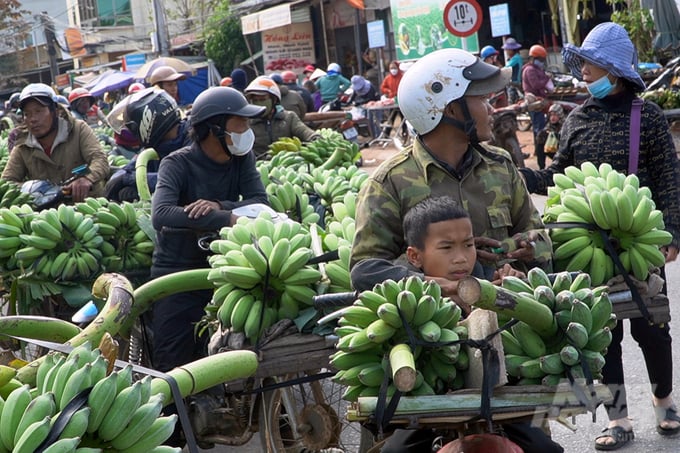 Những đứa trẻ cùng cha đi bán chuối. Ảnh: Võ Dũng.