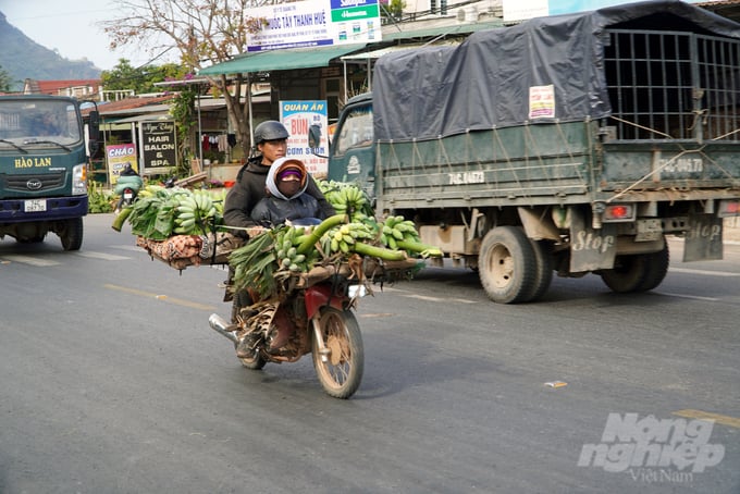 Chợ chuối họp ngay bên QL9 tiềm ẩn nguy cơ mất an toàn giao thông. Ảnh: Võ Dũng.