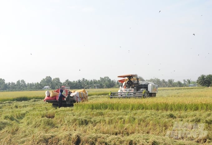 Việc vận hành hiệu quả các công trình thủy lợi đã góp phần quan trọng vào thắng lợi sản xuất năm 2023 của các tỉnh ĐBSCL. Ảnh: Trung Chánh.