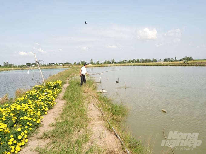 Một trong 5 ao nuôi 'cá nhà giàu' của anh Nguyễn Văn Liêm. Ảnh: Hồng Thủy.