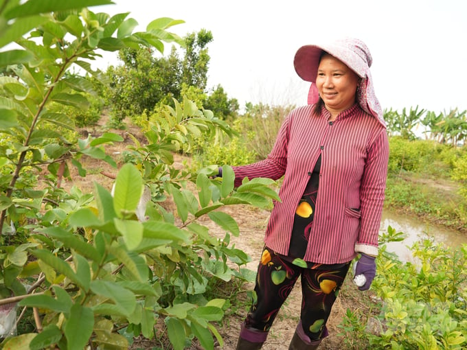 Chị Hạ Thị Cẩm Thúy, vợ anh Tâm cũng là một nông dân sản xuất giỏi. Ảnh: Hồng Thủy.