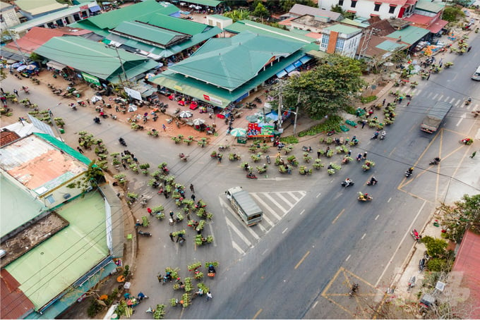 Chợ chuối Tân Long diễn ra quanh năm, họp từ sáng sớm tinh mơ và thường kết thúc vào 9-10 giờ sáng. Ảnh: Võ Dũng.